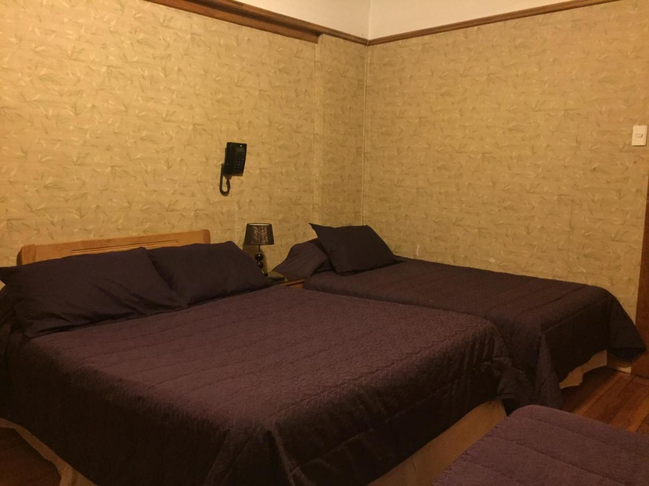 Hostal Chalet Las Violetas Пунта-Аренас Экстерьер фото