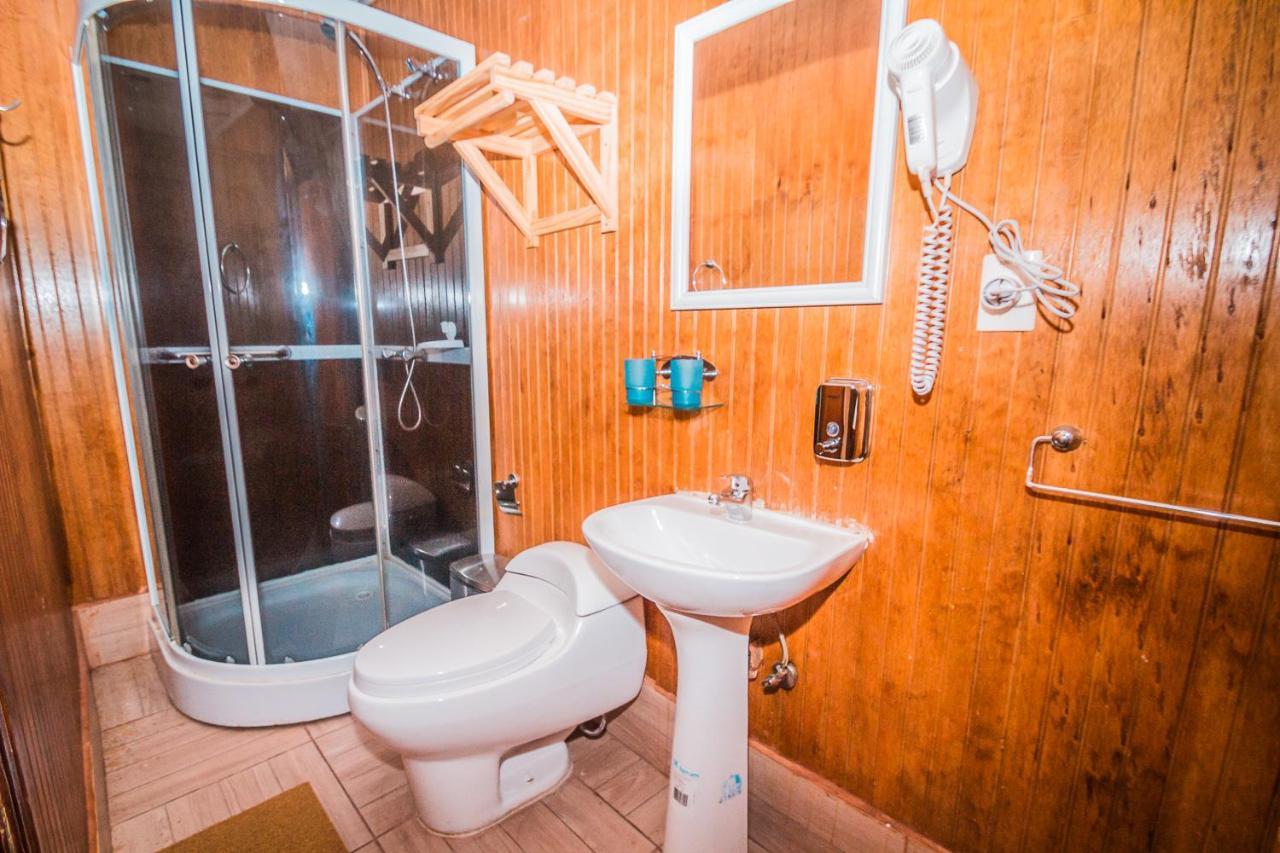 Hostal Chalet Las Violetas Пунта-Аренас Экстерьер фото