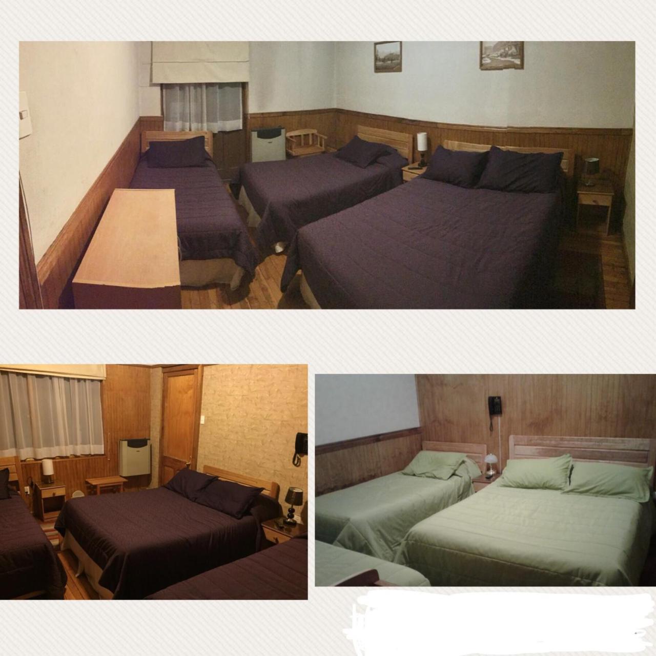 Hostal Chalet Las Violetas Пунта-Аренас Экстерьер фото